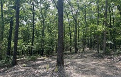 NC 2909, Marble Falls, AR 72648