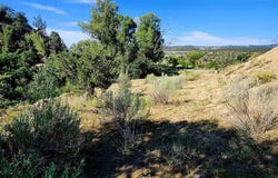 942 Rainbow Road, Durango, CO 81303