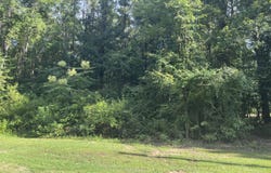 Carroll Lane, Caledonia, MS 39740