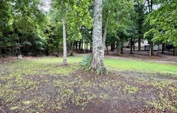 335 Pataula Heights Lane Lot 15, Fort Gaines, GA 39851