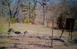 Pushmataha County Road N 4070, Antlers, OK 74525
