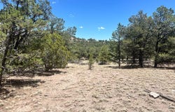 XX Campfire, Datil, NM 87821