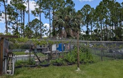 6735 N TOLEDO BLADE BOULEVARD, NORTH PORT, FL 34286