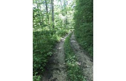 0 South South Fork Road, Stanton, KY 40380