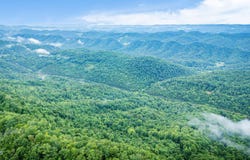 Tbd Clinch Mountain Road, Eidson, TN 37731