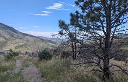 439 Redtail Ridge Way, Bellvue, CO 80512