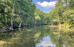 Mount Vernon, AR 72111