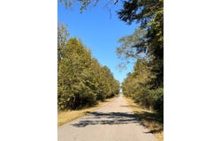 County Road 5, Cuba, AL 36907