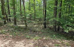 5 Tistaban Lane, Hot Springs Village, AR 71909