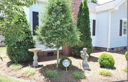 110 E Blalock Road, Lucama, NC 27851
