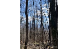 Woodfin Road, Sylva, NC 28779
