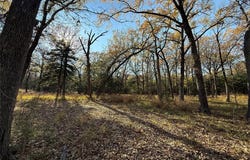 0000 County Road 2418, Honey Grove, TX 75446