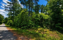 8.2 Acres Breland Road, McLain, MS 39456