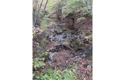 0 Felix Road, Nathalie, VA 24577