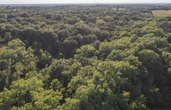 Ridgewood Estates lot: 2, Indianola, IA 50125