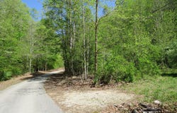 Trace Branch Road, Flat Lick, KY 40935