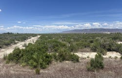 1565 William Harrison Avenue, Battle Mountain, NV 89820