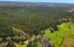 Silver Star Road, Sour Lake, TX 77659