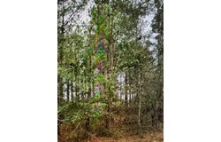 60 Olin Goode Drive, Sumter, SC 29153