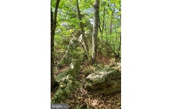 227 HAINES DRIVE, CAPON BRIDGE, WV 26711