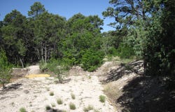 29 LARK Road, Tijeras, NM 87059