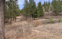 4639 Howard Hills Way, Loon Lake, WA 99148