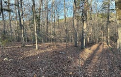 75 Weanock Ln, Ebony, VA 23845