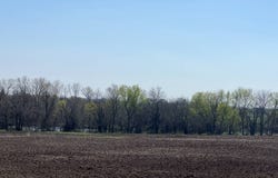 25104 335th, Archie, MO 64725