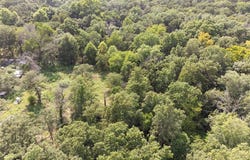 S 3490 Road, Prague, OK 74864