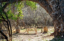 11450 E WILLOW POINT Road, Cornville, AZ 86325