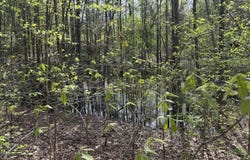 0 TN-125, Henderson, TN 38340