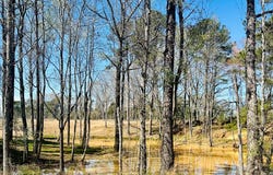 6046 County Road 2225 Troy, AL 36079, Troy, AL 36079