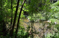 4657 Lower Grave Creek Road, Wolf Creek, OR 97497