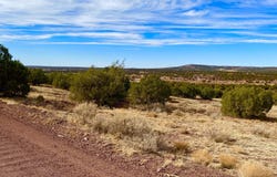 Tbd Co Rd 8269 Lots 150 & 151, Concho, AZ 85924