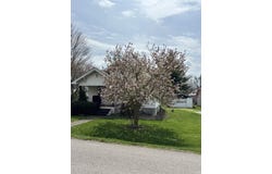 205 E Arthur Street, Salem, IN 47167