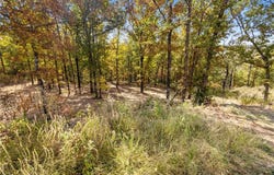 Lot 19 Restore Ridge, Harrison, AR 72601