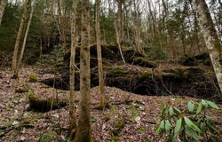 0 Highway 15, Slade, KY 40376