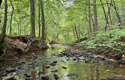 180.14 Ac Johnson Mill, Hamilton, GA 31811