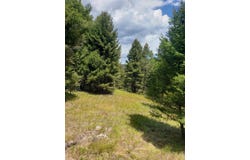 300 Hematite Road, Helmville, MT 59843