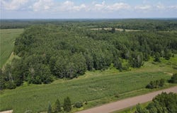 Tbd County Road M, Ogema Twp, WI 54459