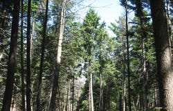 1260 Valentine Pond Road, Horicon, NY 12808