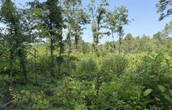 Shook Lane, DeWitt, AR 72042
