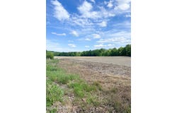 Independence Loop, Lexington, TN 38351
