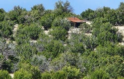 108 Pima Dr, Quemado, NM 87829
