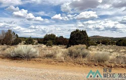 16 Five Gate Road, Pinehill, NM 87357