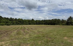 Hwy 12 E, Columbus, MS 39702