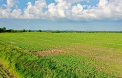 TBD Hwy 14, Allison, IA 50602