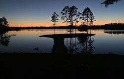 985 STANFORD LAKE RD, Poplarville, MS 39470