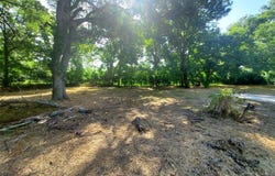 2415 Roosevelt, Shreveport, LA 71104