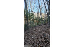 0 Eagle Eye, Tiger, GA 30576